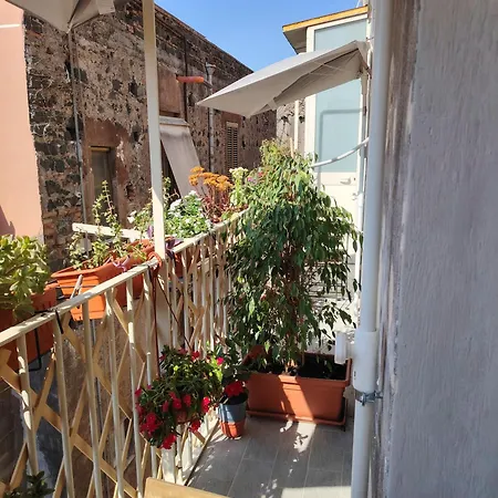 Carmen House-3