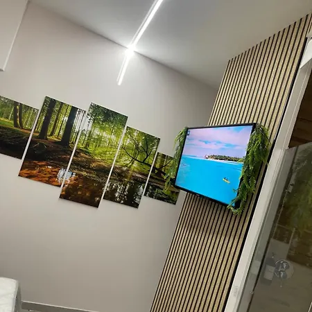 Jungle Room-2