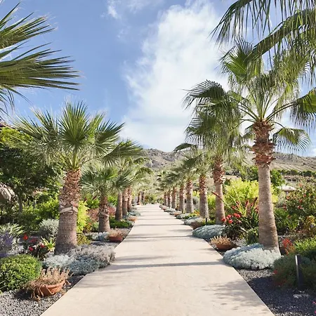 Terreforti Luxury Village-2