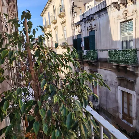 Carmen House-2