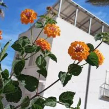 Cristalli di Sale-2