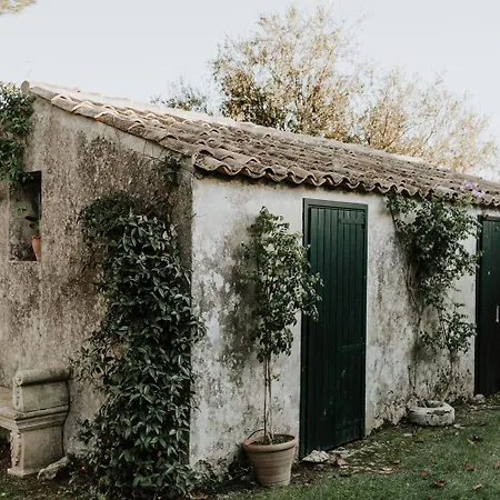Bibbia- Tenuta di Campagna-2