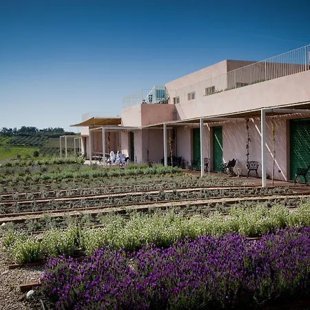 La Foresteria Planeta Wine Resort & Beach Club-2