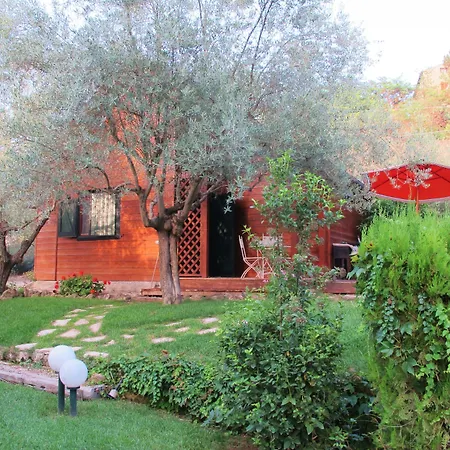 Villa Clementine-2