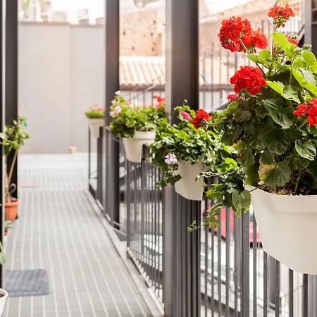Scuto Home-3