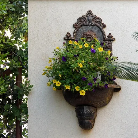 Athena Bed & Breakfast-3