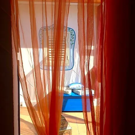 Blue Bab B&B-3