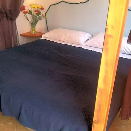 Blue Bab B&B-2