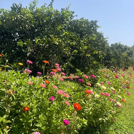 Giardino del Belice-2