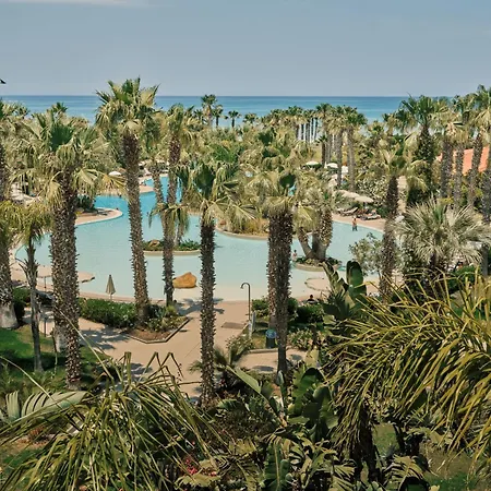 Acacia Resort-3