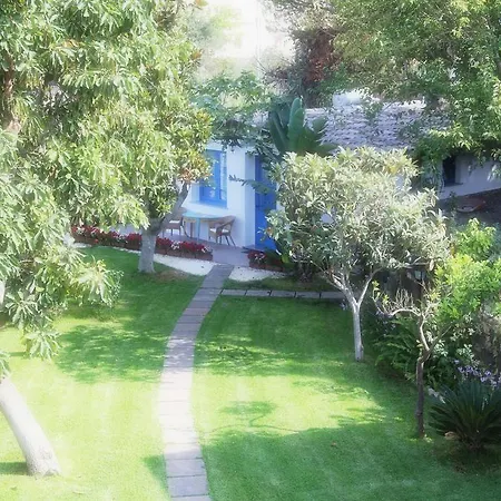 Avocado B&B Beyond-3
