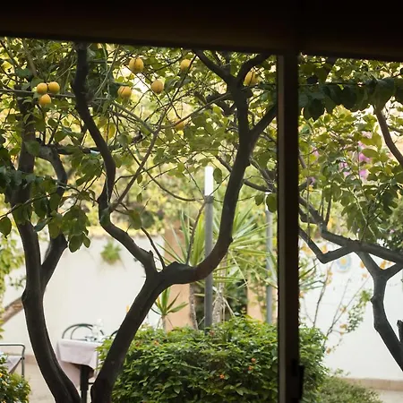 L'Albero-2