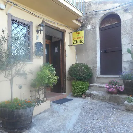 Casa Mule-2