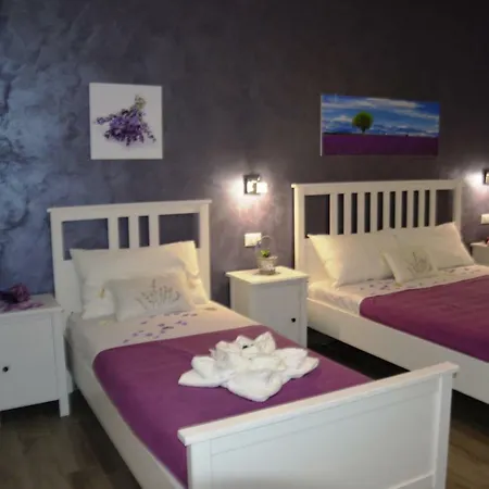 B&B Aurora-2