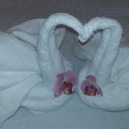 Guest House Le ginestre dell'Etna-3