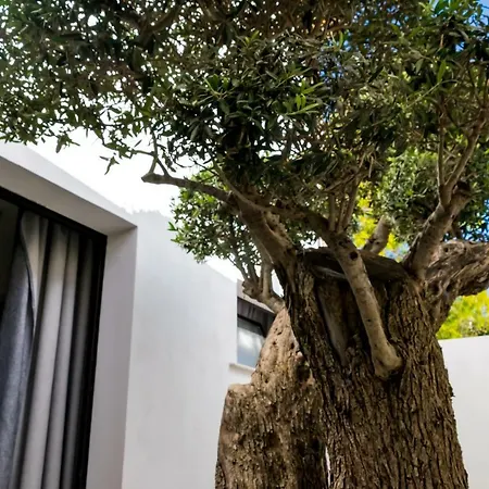 Diodorus Luxury Experience-3