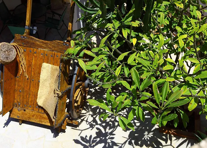 B&B Sabir San Vito Lo Capo