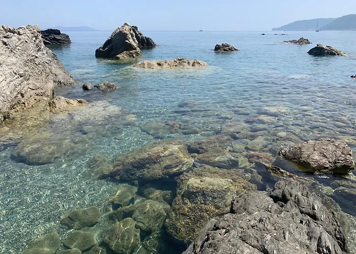 Il Fiore Bianco Capo dʼOrlando