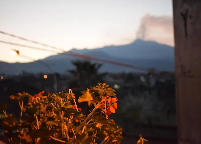 B&B L' Aquila dell' Etna