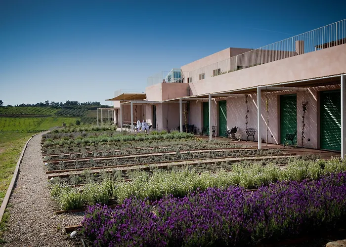 La Foresteria Planeta Wine & Beach Club