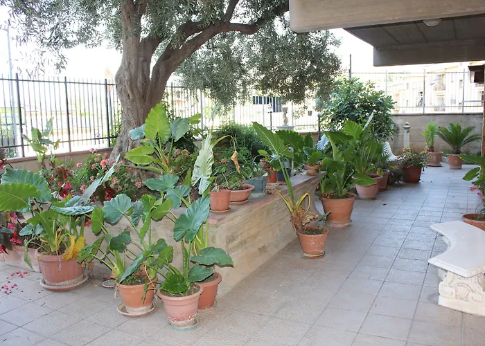 B&B Ulivo Trabia